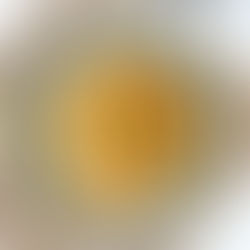 Pasta Shells in Tomato-Zucchini Sauce