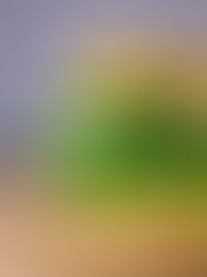 Green Goddess Sandwich with Chickpea Spread