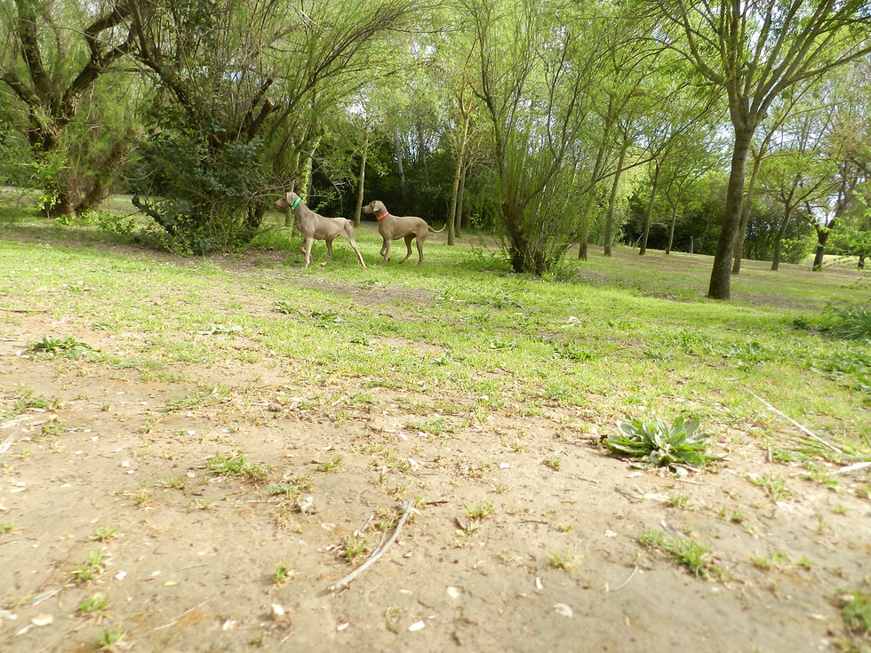 DSCN7482.JPG