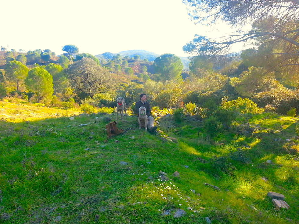 20150111_152944.jpg