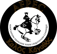 LOGO AFPEC DORE 200X200 grec.png