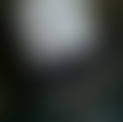 MOTUS wins a great GOLD