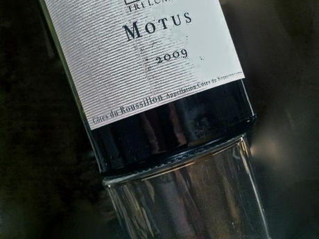 MOTUS wins a great GOLD