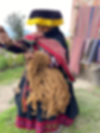 IMG_6505 - Cópia.HEIC