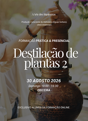 Destilação de plantas (A4) (1).png