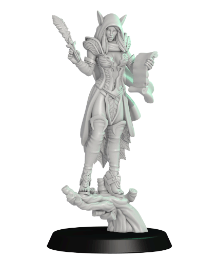 Miniatura: Coach - Sylvans Team