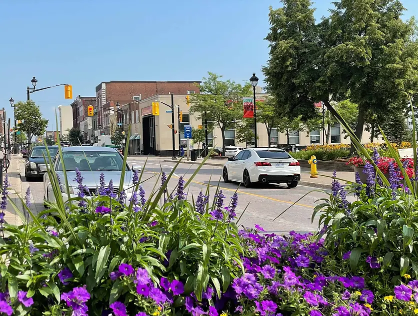 Downtown-North-Bay-scaled.webp