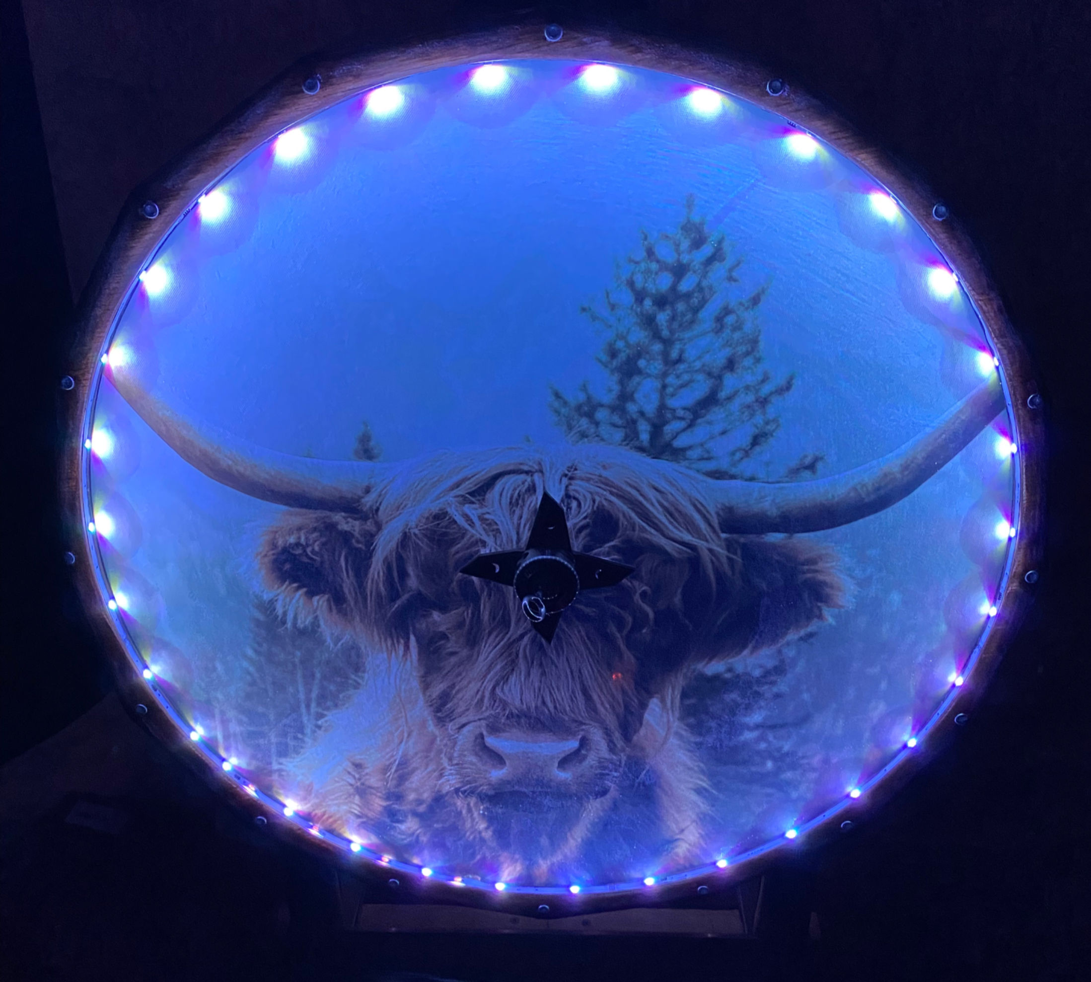 The Bull 24”x 4” Custom Drum Speed Bag Drum