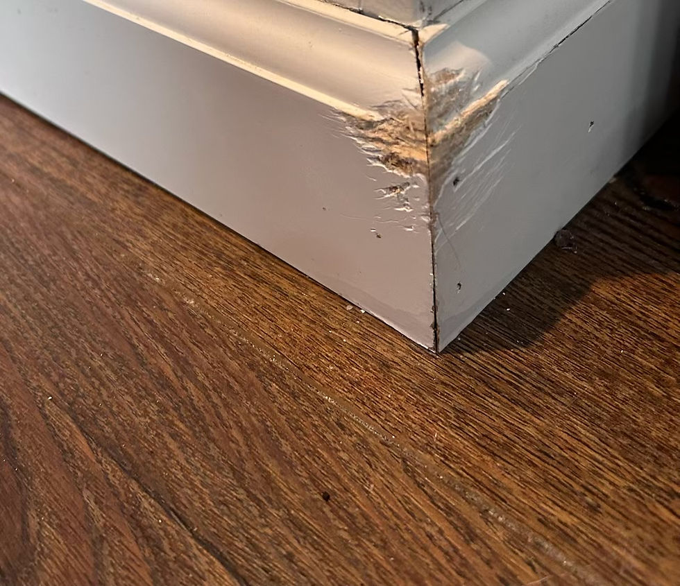 Our molding after Luna chewed