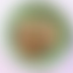 QUINOA SALAD WITH CHICKPEAS, SOFTLY BOILED EGGS, OLIVES AND PARSLEY