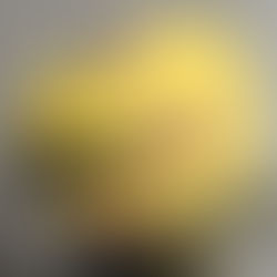 THE MINI GUIDE TO SELF LOVE