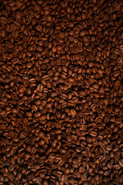 Café Robusta Amazônico