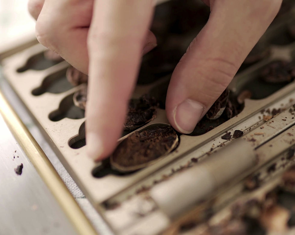 Miniatura: Classificação das  amêndoas secas de cacau Amazônia Raizêra