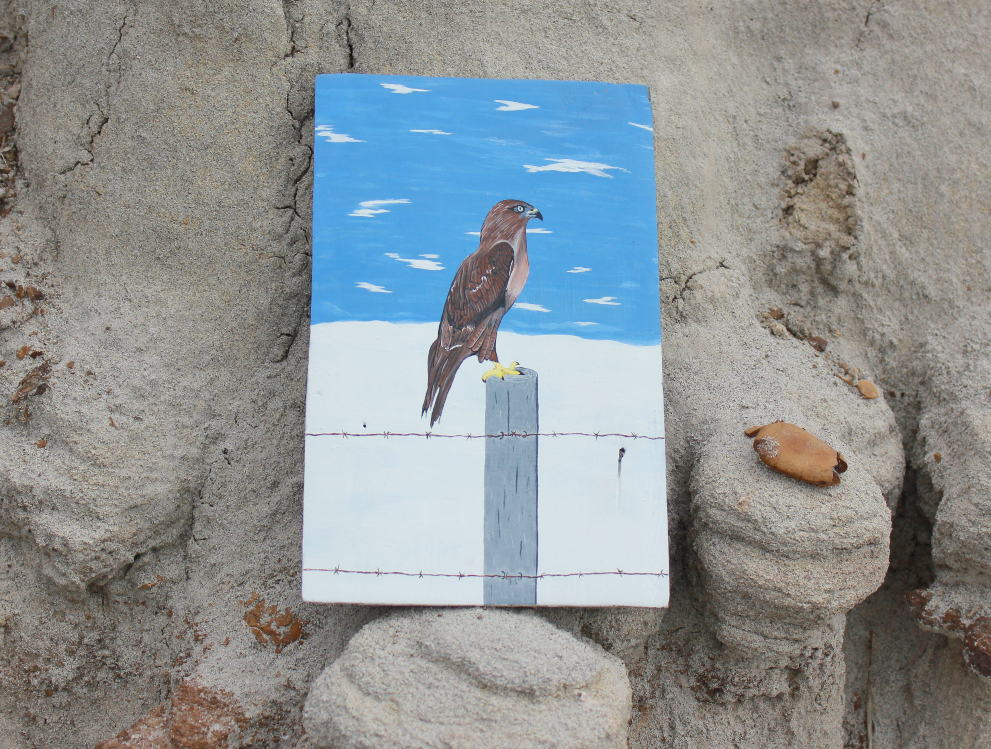 Ferruginous Hawk