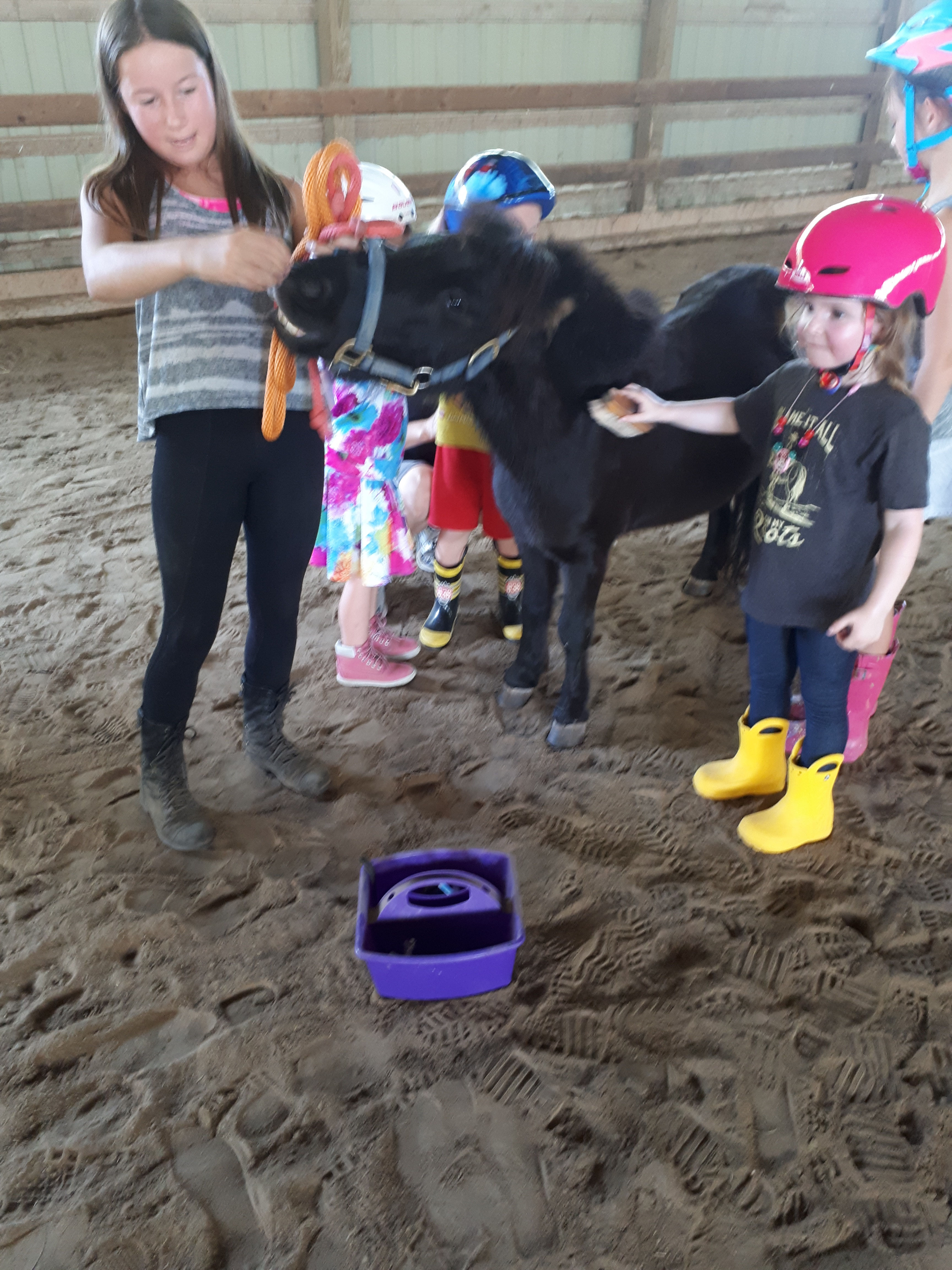 Sensory Saturdays 4 class pass