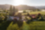 Architecturally restored villa on vineyard in Riwaka