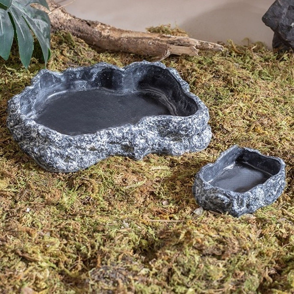 Thumbnail: AquaHaven Rock Reptile Food & Water Bowl