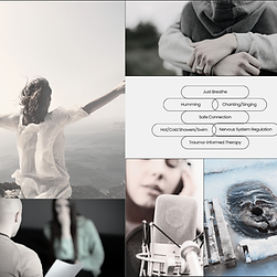 Image for Vagus blog.png