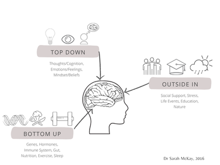 🧠 The Bottom-Up, Top-Down, and Outside-In Model: A Powerful Approach to Nervous System Regulation