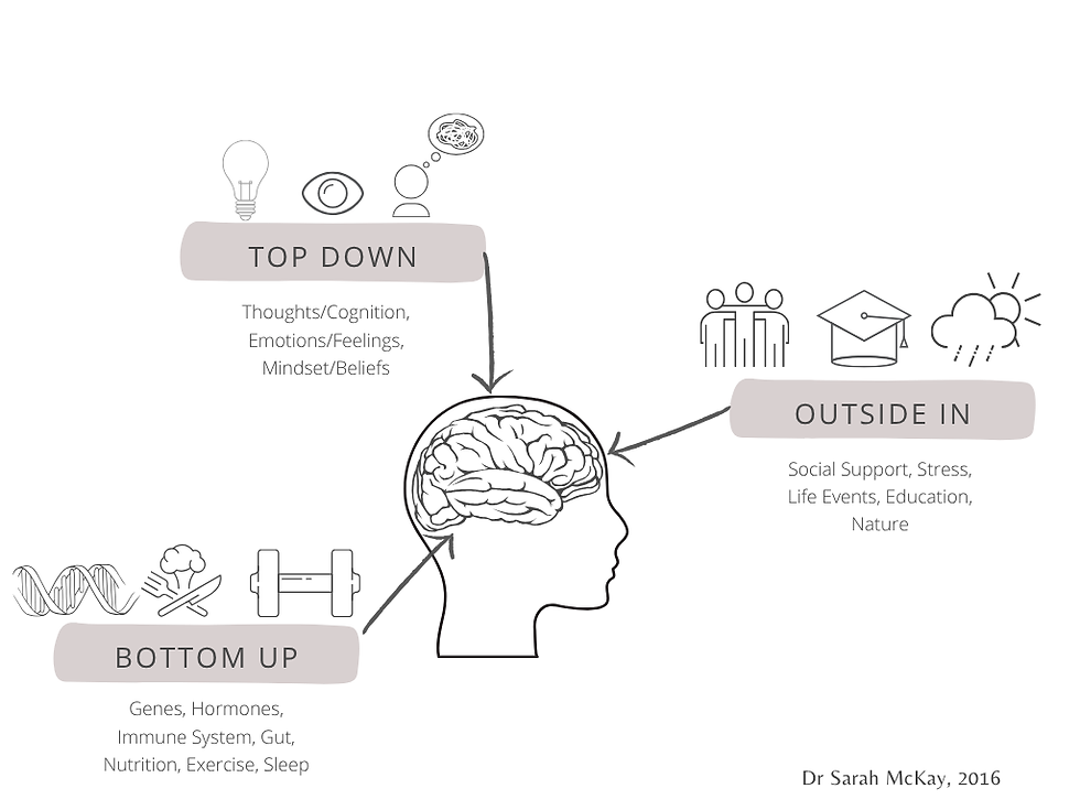 Dr Sarah McKays framework of the brain: Bottom-UP, Top-Down, Outside-In