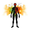 transformation from ill to health, brain, body.jpg