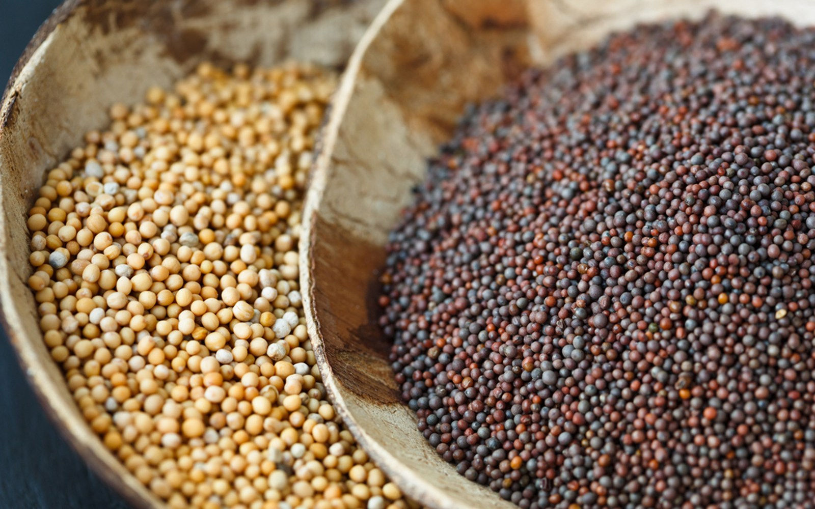 Mustard Seeds - 3 varieties available