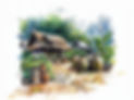 zerkaa5721_A_watercolor_illustration_with_white_edges_showing_t_021bfa59-8a0c-464f-b009-79