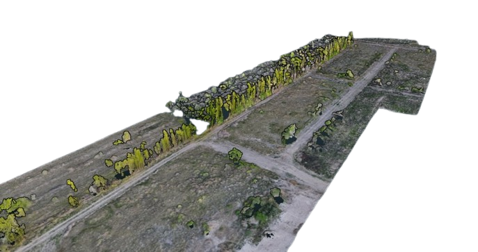 WhatsApp_Image_2025-11-24_at_10.20.17-removebg-preview