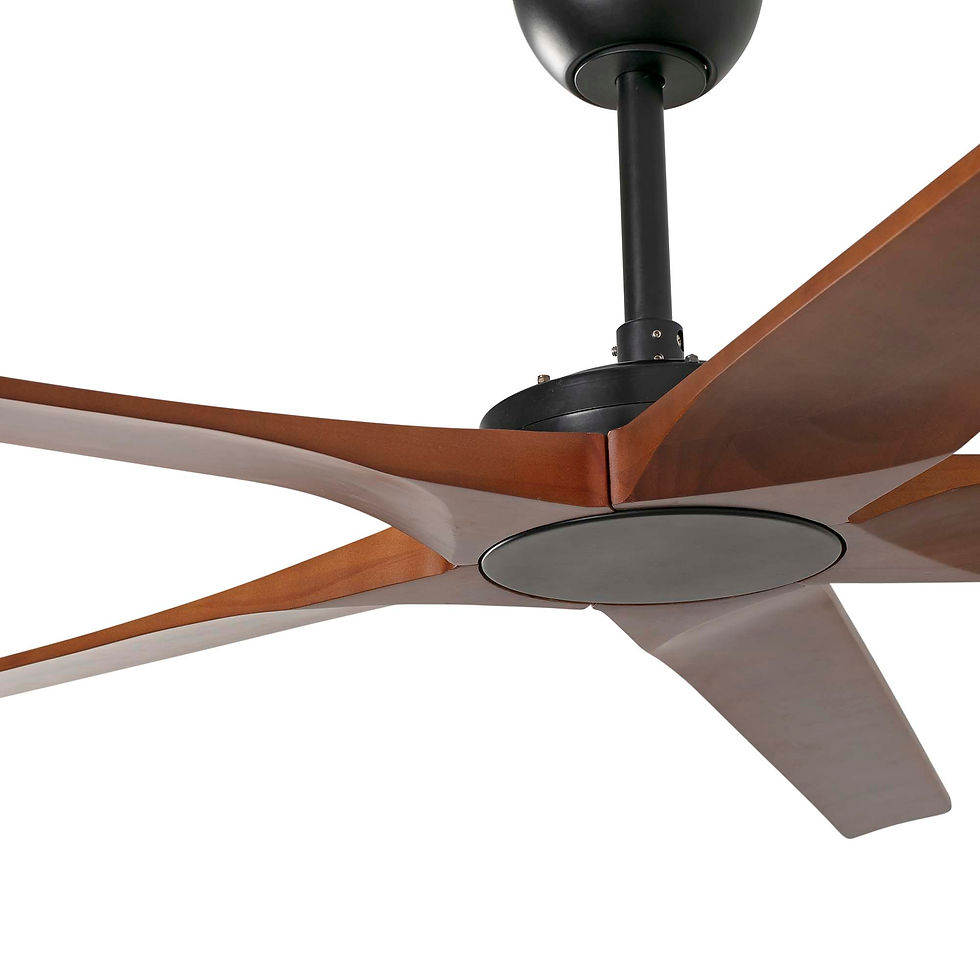 Miniature : BIGWOOD 24 - ventilateur