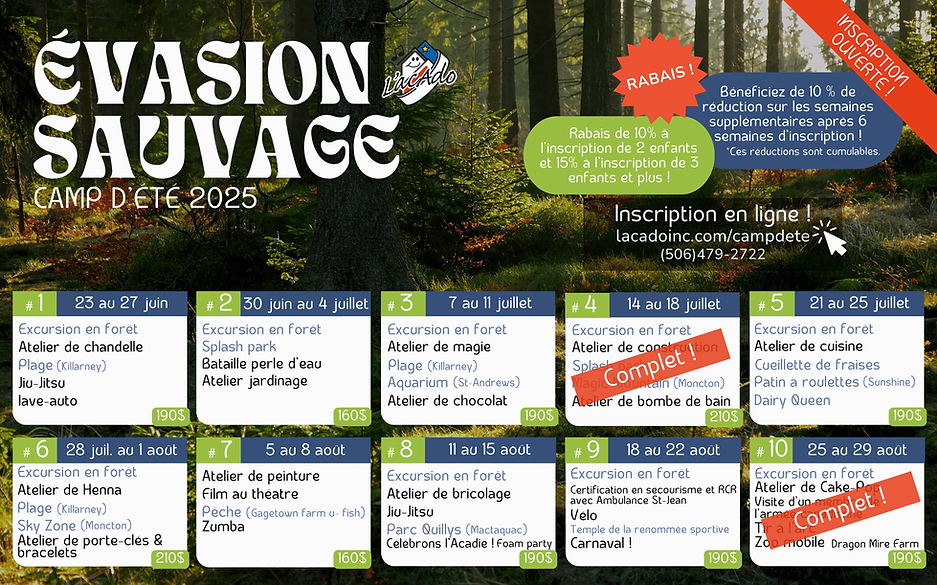 Affiche finale camp d'été 2025 (7).png