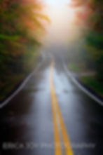 Fall foliage along a wet road in Groton Vermont