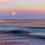 Thumbnail: A fish jumping out of the ocean at Delray Beat in Florida during Moonrise Sunset