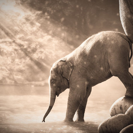 We grow from our experiences