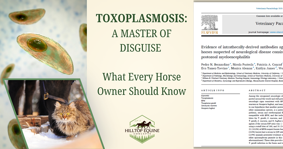 a cat and a horse with toxoplasmosis