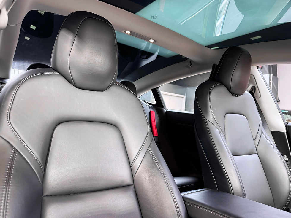 縮圖：2019 TESLA MODEL 3 SR PLUS  (STANDARD RANGE)