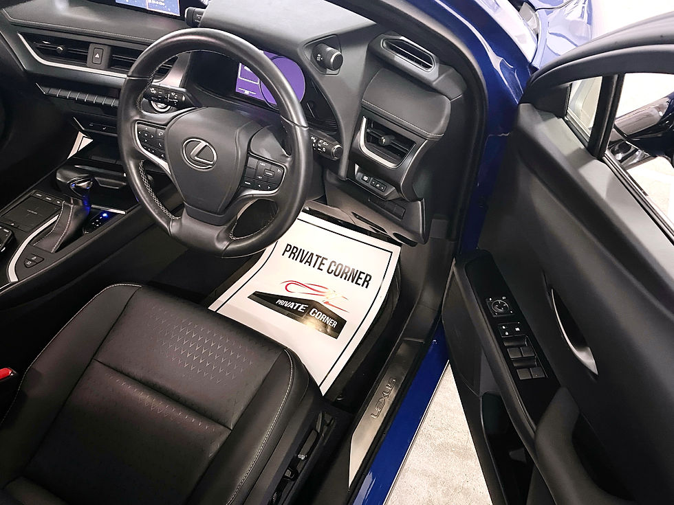 Thumbnail: 2019 LEXUS UX200