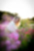 Mieke_bloei en beeld-6.jpg