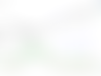 Risk for a widening U.S. High Yield OAS