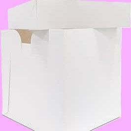 Cake boxes in tall and standard heights