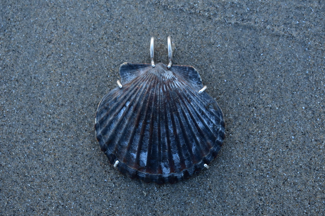 Scallop Shell Pendant