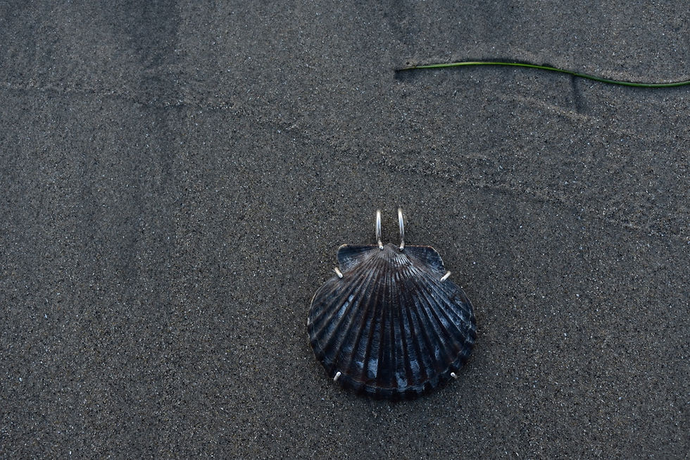 Thumbnail: Scallop Shell Pendant