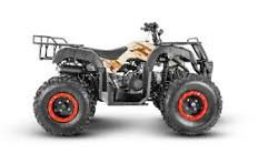 MOTO CUADRON DAYTONA DY200 4-HUNTER
