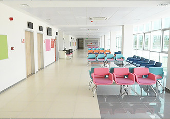 Y6.jpg