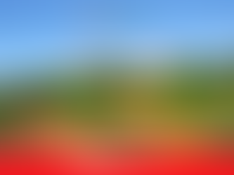 Em Laguna, Líder Panorâmico conta com passeio ecológico inesquecível