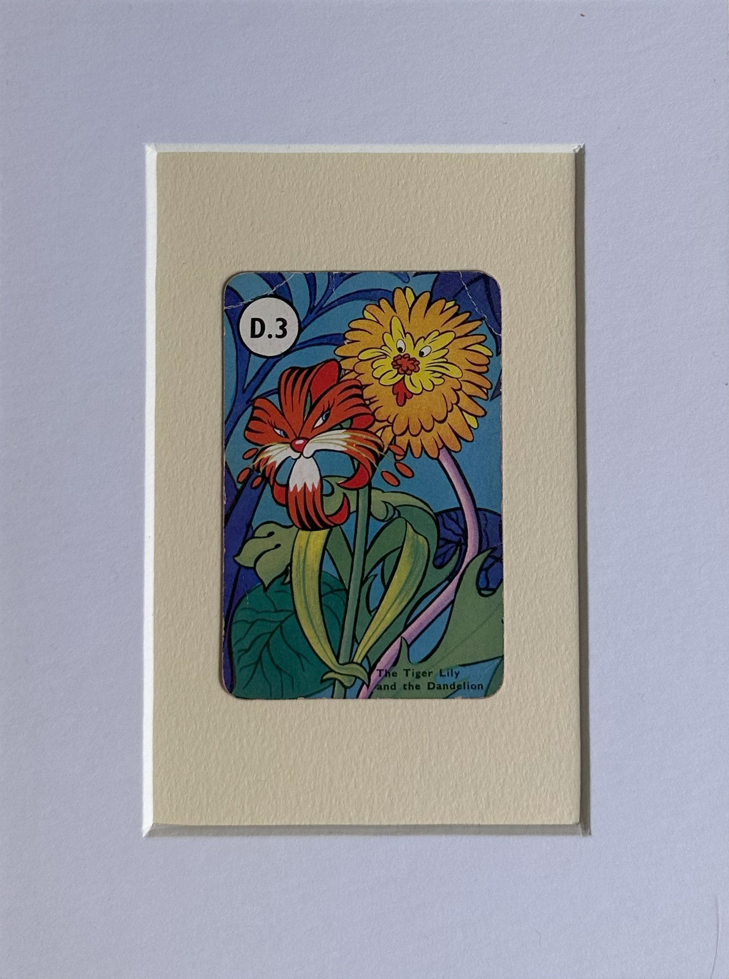 Tiger Lily & Dande-Lion