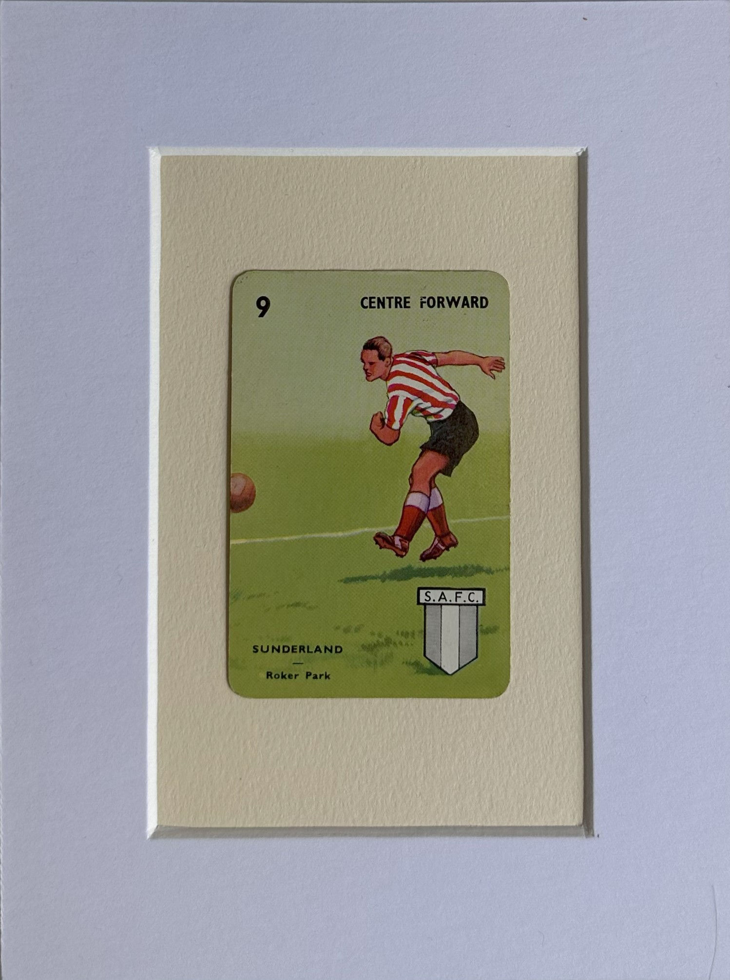 Centre Forward from Sunderland playing on a grass pitch