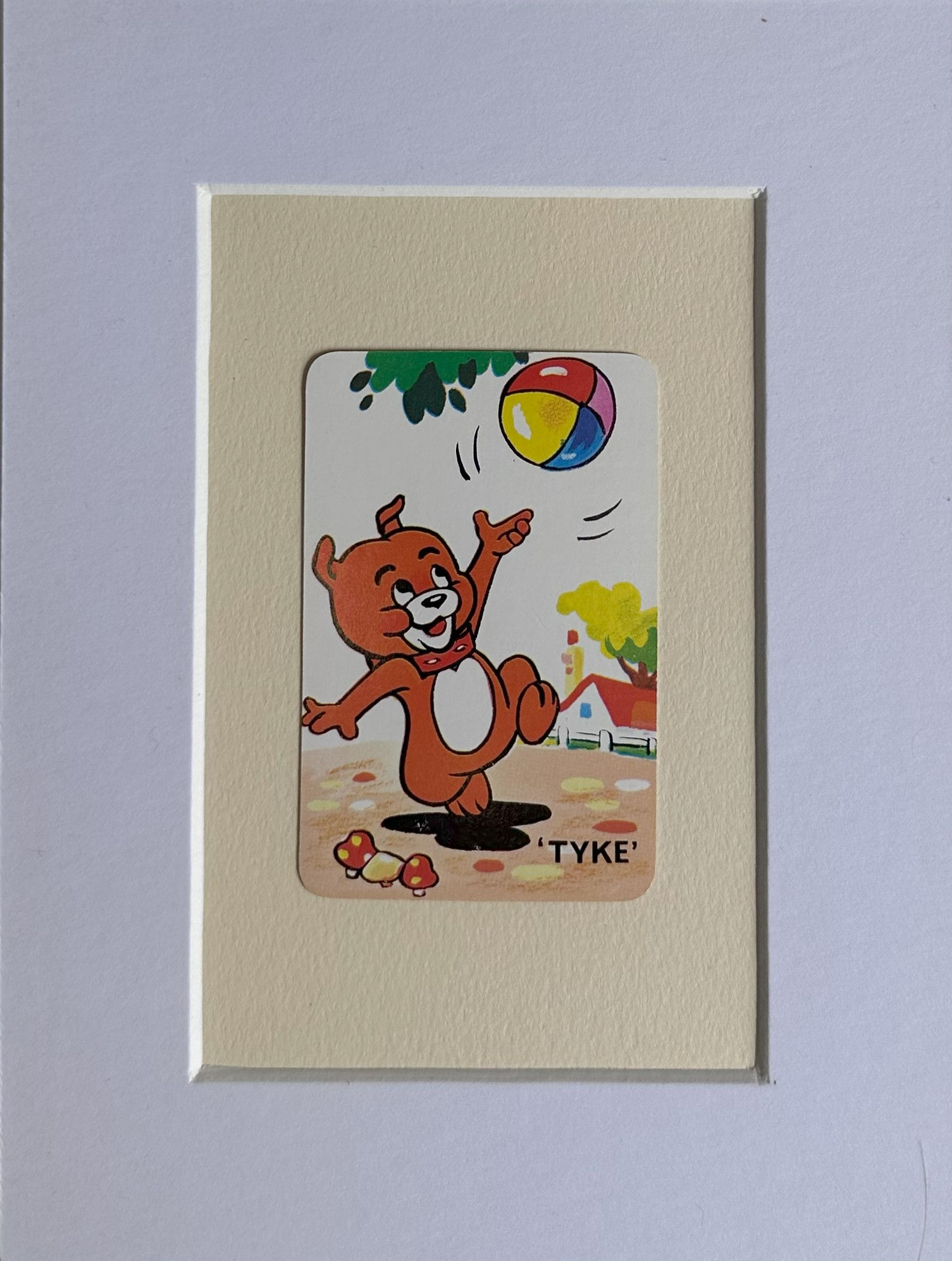 Tyke playing with a beach ball