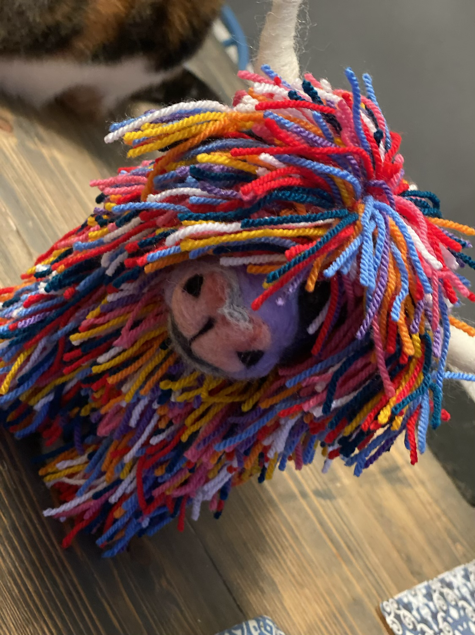 Thumbnail: Multicoloured Highland Cow 