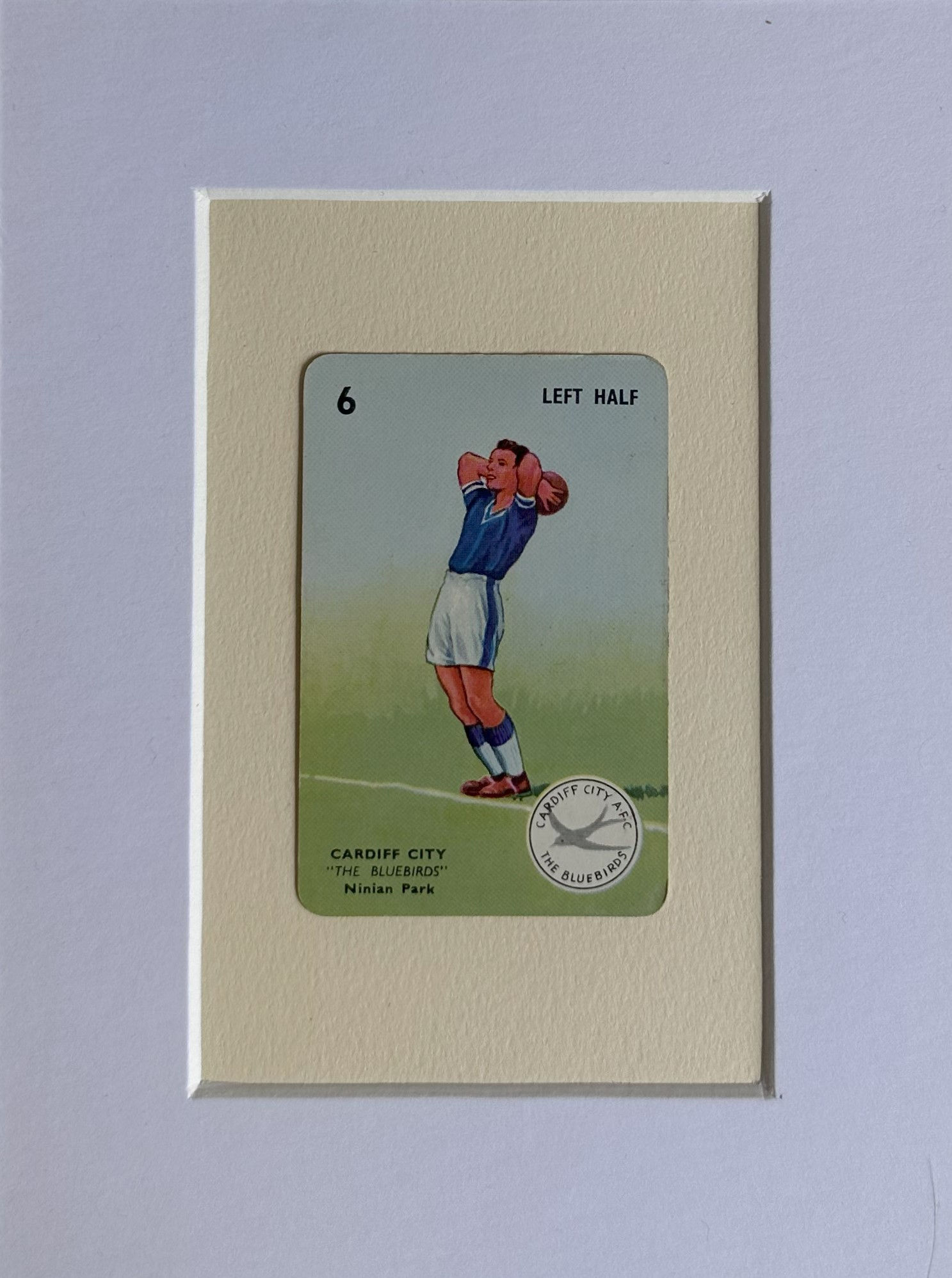 Left Half from Cardiff City playing on a grass pitch