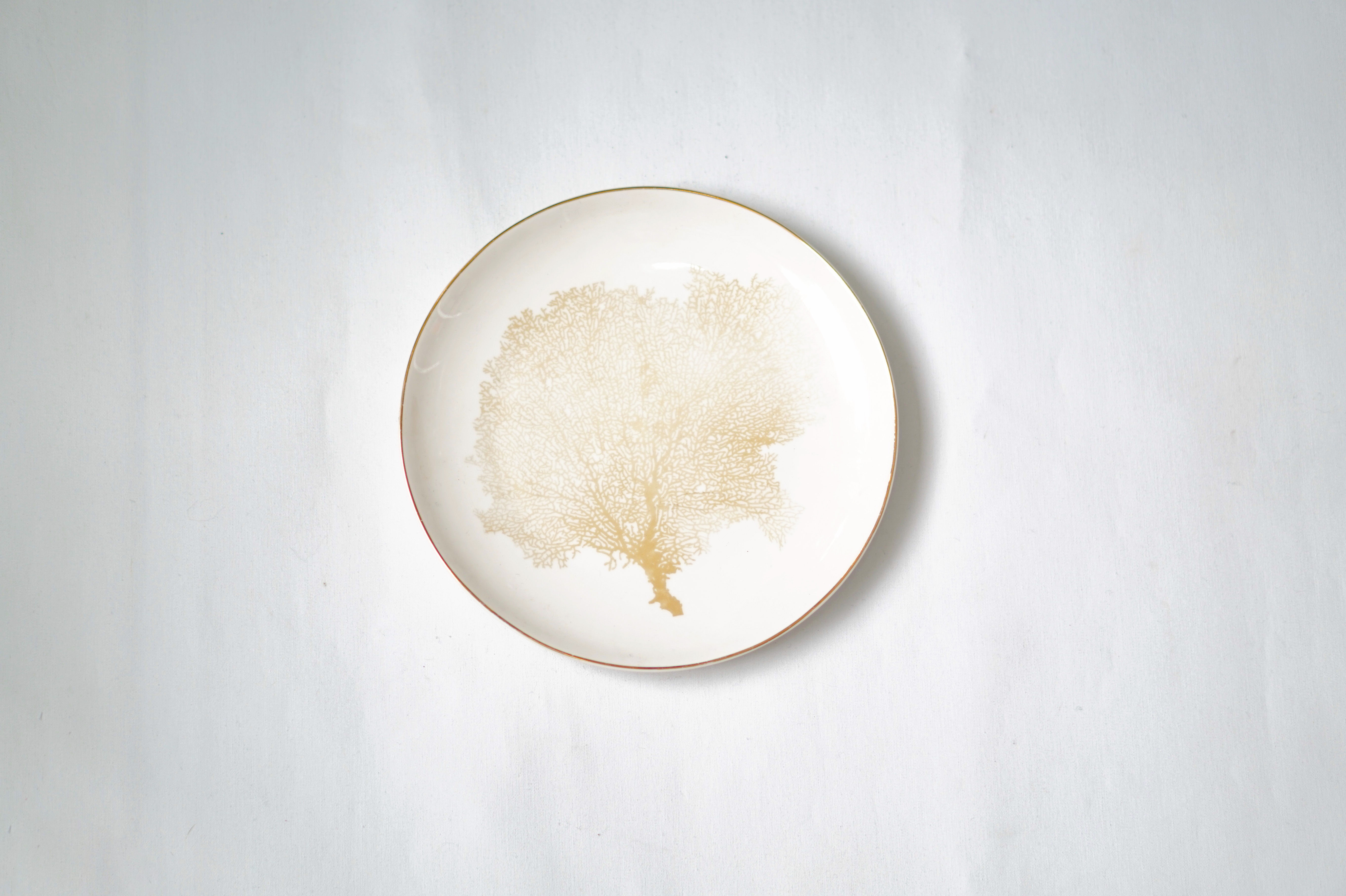 PLATO LOZA MEDIANO DISEÑO